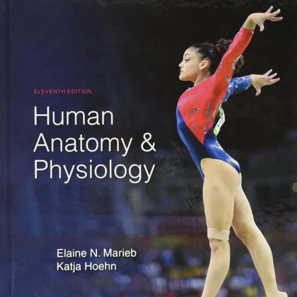 Human Anatomy & Physiology